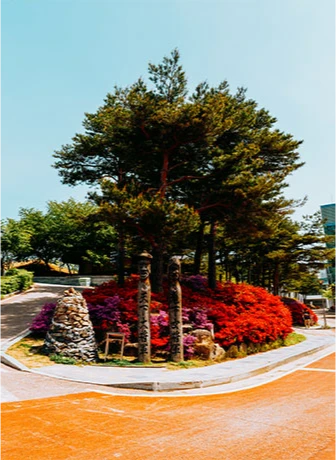 붉은 철쭉과 소나무가 어우러진 정원 화단이 도로 가운데 자리한 풍경