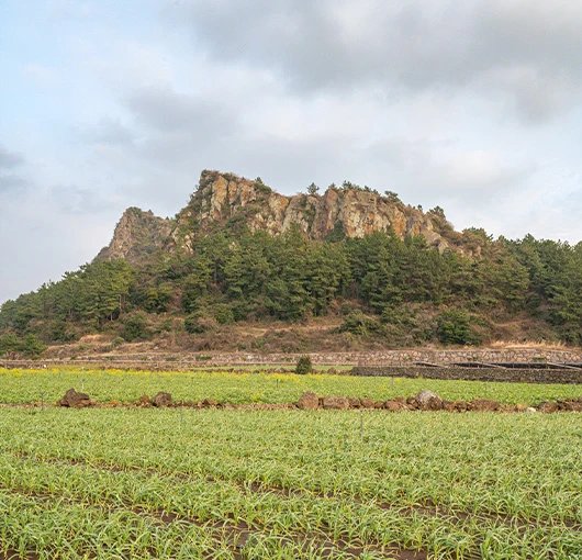 산방산을 배경으로 해변을 바라보도록 놓인 둥근 돌 의자 두 개