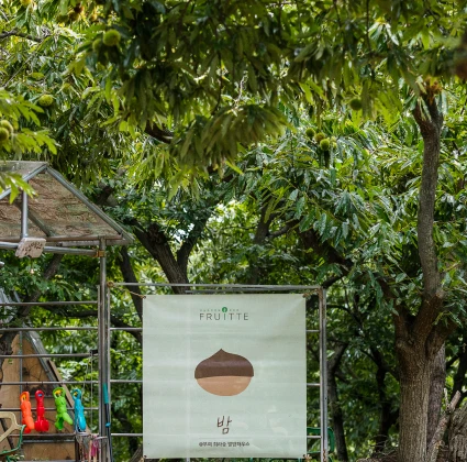 울창한 밤나무 숲을 배경으로 알밤 그림과 밤 글자가 그려진 희라숲 농장 안내 배너가 걸려 있다