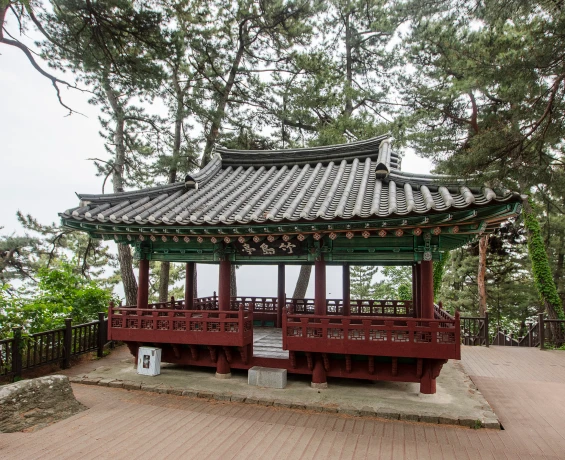 소나무 숲에 둘러싸인 단청을 입힌 팔작지붕 한옥 정자 죽도정의 정면 모습