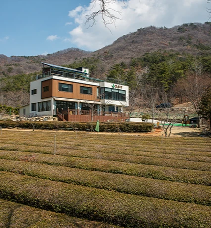 산자락 아래 푸른 차밭이 넓게 펼쳐진 곳에 자리한 장군차 티하우스 3층 건물 외관