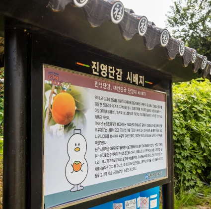 기와 지붕을 얹은 진영단감 시배지 안내판, 단감 그림과 김해 캐릭터 일러스트가 함께 그려져 있다