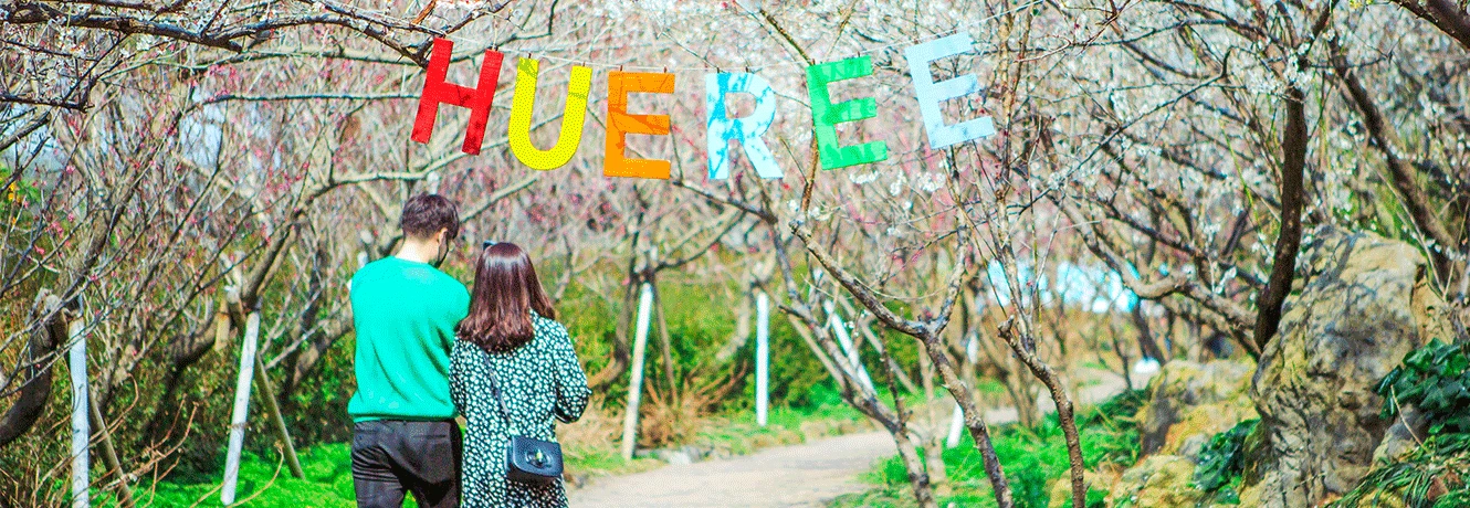 분홍 매화가 터널처럼 드리운 산책로에서 HUEREE 가랜드 아래를 걷는 커플의 뒷모습