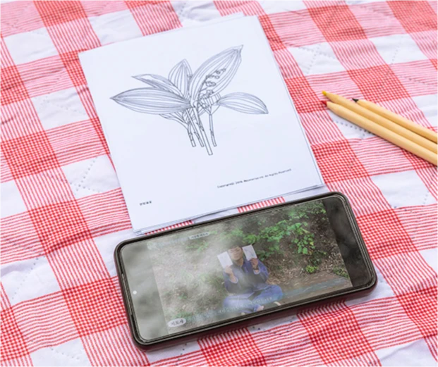 체크 천 위 식물 그림 색칠 도안과 색연필, 영상이 재생되는 휴대폰