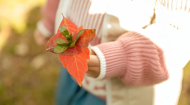 분홍 니트를 입은 아이가 붉은 단풍잎과 초록 잎으로 만든 작은 꽃다발을 손에 든 모습