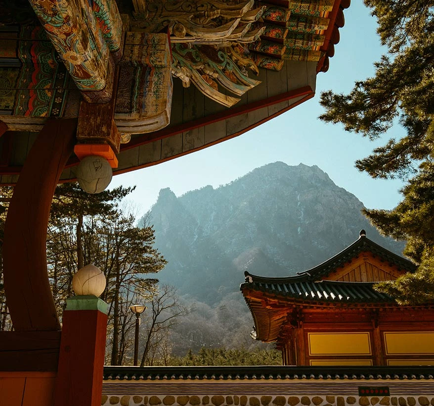 단청을 입힌 신흥사 처마 너머로 솟아오른 설악산 권금성의 험준한 회백색 암봉