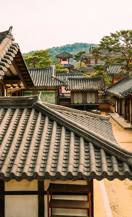 겹겹이 이어진 기와지붕의 한옥들, 뒤로 솔숲과 산이 보이는 서동요 촬영지 풍경