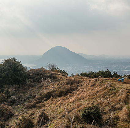 군산오름 마른 풀밭 너머로 원뿔 모양의 산방산과 서귀포 들판이 햇살 속에 아련하게 보이는 전경