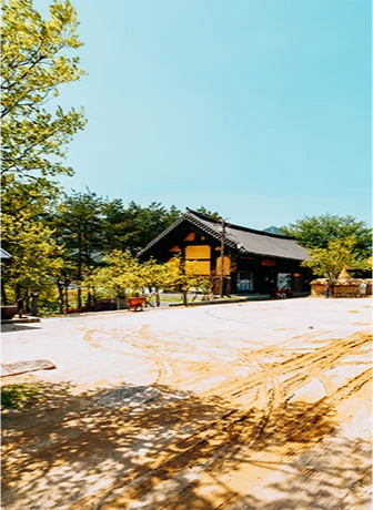 푸른 하늘 아래 너른 마당을 둔 전통 목조 가옥, 실향민 문화촌의 야외 풍경
