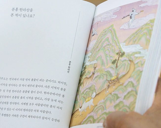 펼친 에세이 지면에 분홍빛 한라산과 학을 그린 민화 삽화가 실린 루씨손 작가의 책