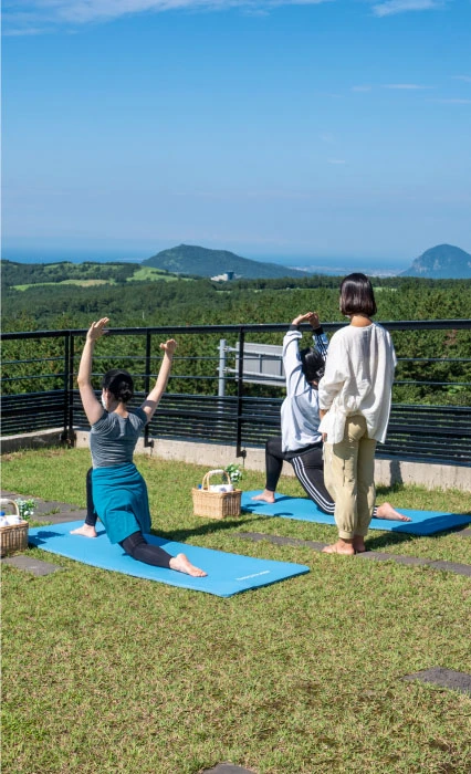 제주 오름과 숲, 바다가 펼쳐진 전망대에서 참가자들이 매트에 앉아 런지 자세로 요가하는 뒷모습