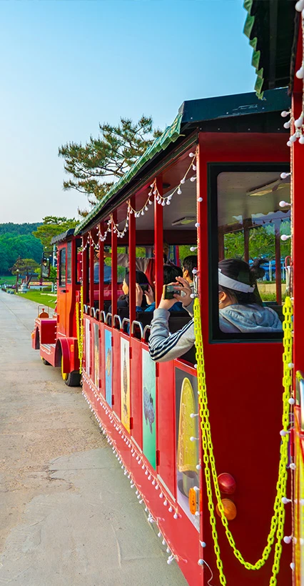 빨간 사비로 열차에 탄 관람객들이 창밖을 보며 사진을 찍는 모습