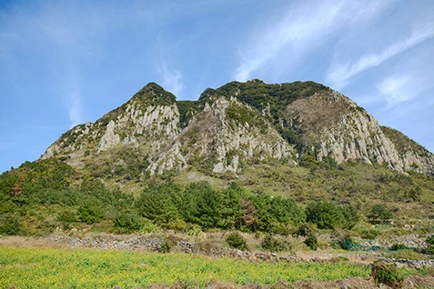 파란 하늘 아래 두 봉우리가 솟은 산방산과 앞쪽 들판이 어우러진 전경