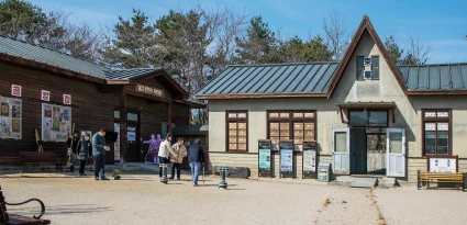 목조 건물 앞을 거니는 관람객들과 안내 게시판이 늘어선 실향민문화촌 입구