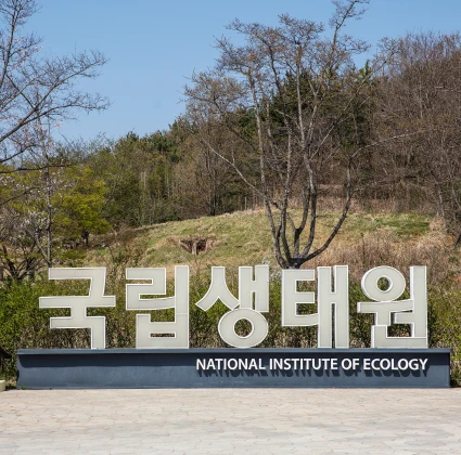 국립생태원 NATIONAL INSTITUTE OF ECOLOGY 글자가 새겨진 표지석과 그 뒤 봄빛 언덕