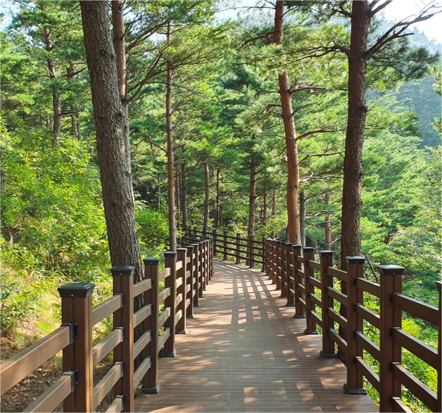 양옆으로 소나무가 늘어선 치유의 숲 나무 데크 산책로의 전경