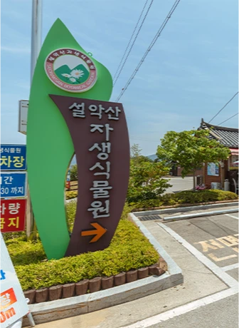 도로변에 세워진 초록 잎사귀 모양의 설악산 자생식물원 안내 표지판, 붉은 화살표가 입구를 가리킨다
