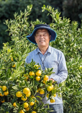 감귤이 주렁주렁 달린 나무 옆에 선 농장 대표가 미소 지으며 카메라를 바라보는 세로 인물 사진