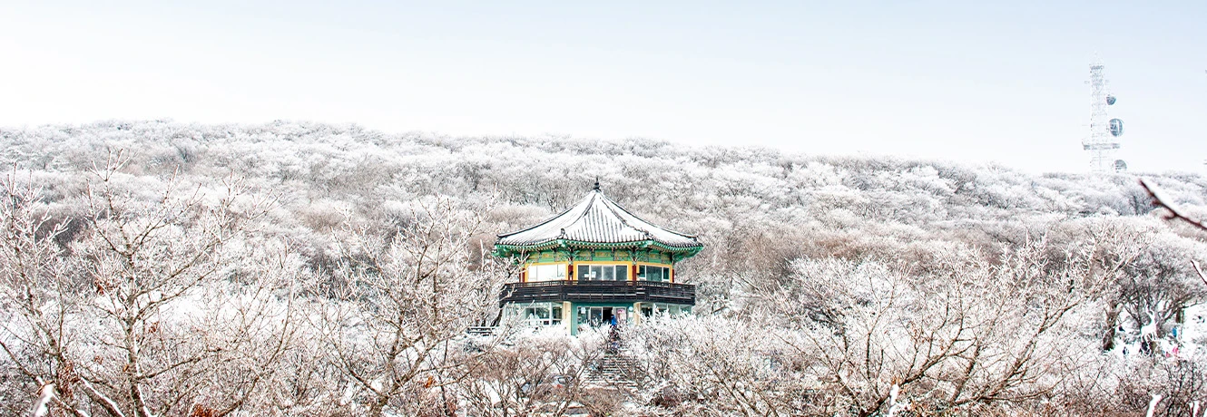 온통 눈꽃으로 뒤덮인 산자락 가운데 단청 입힌 정자가 자리한 1100고지의 설경