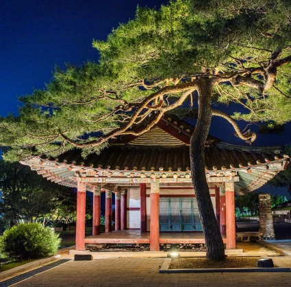 소나무가 곁을 지키는 단청 정자가 조명을 받아 푸른 밤하늘 아래 운치 있게 빛나는 모습