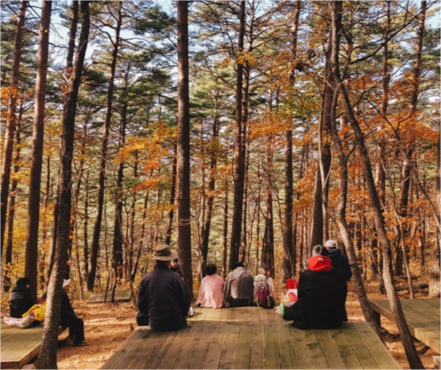 단풍 든 가을 숲의 평상에 앉아 숲을 바라보는 여행객들의 뒷모습