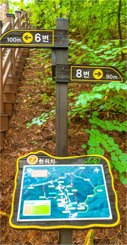 숲길 코스 번호와 현위치 지도를 표시한 노란 테두리 안내 표지판