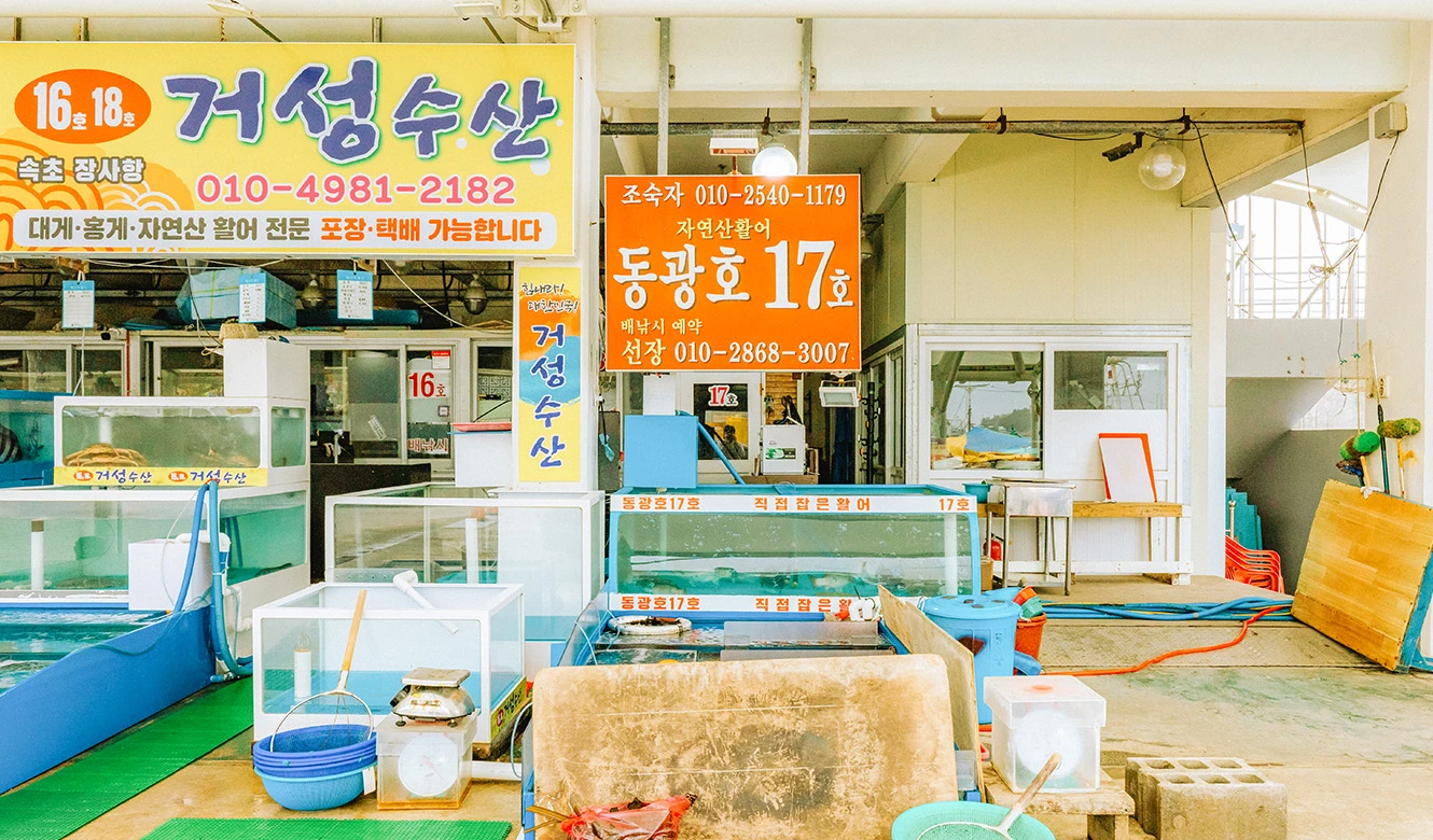 거성수산 간판과 수조가 늘어선 장사항 활어센터 가게 전경