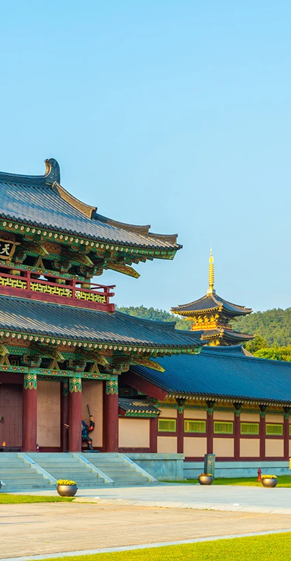 사비궁 단청 전각 너머로 황금빛 목탑이 보이는 한낮의 백제문화단지 풍경